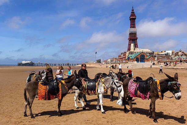 The Cosy Nook Bed & Breakfast Blackpool